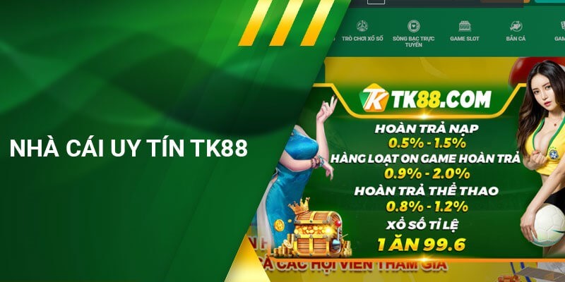 Sự khác biệt giữa Hcm66 và Hcm66 Palace là gì? - Hcm66