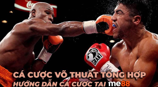 Sun52 hiện đang triển khai một chiến dịch khuyến mãi - Sun52