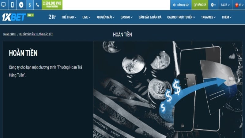 Bạn nên hiểu rõ những ưu điểm và nhược điểm của xếp hạng Ho88 - Ho88