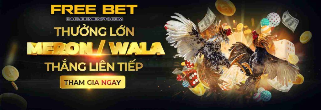 Giấy phép 1Xbet và Bảo mật - 1Xbet