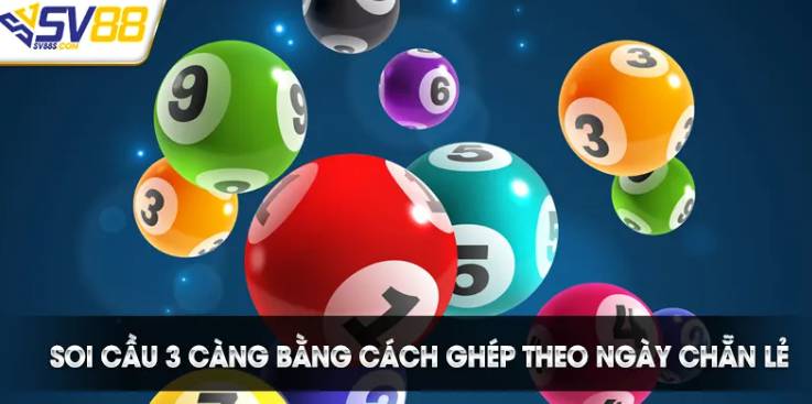 Loại hình thi đấu câu lạc bộ 365Vn - 365Vn
