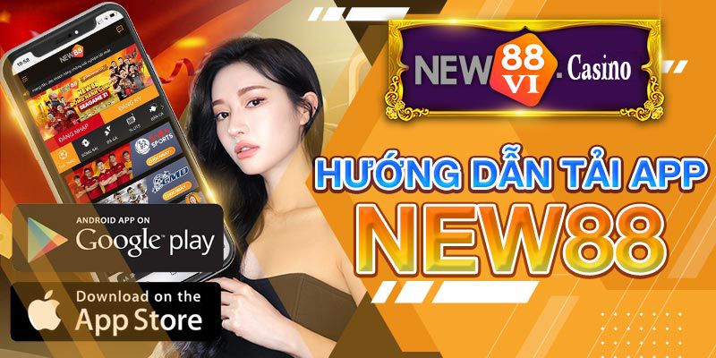 Trang web mới của Vn6 bao gồm các câu hỏi thường gặp - Vn6
