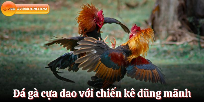 Phương thức thanh toán và tỷ lệ cược của Xổ số Win79 - Win79