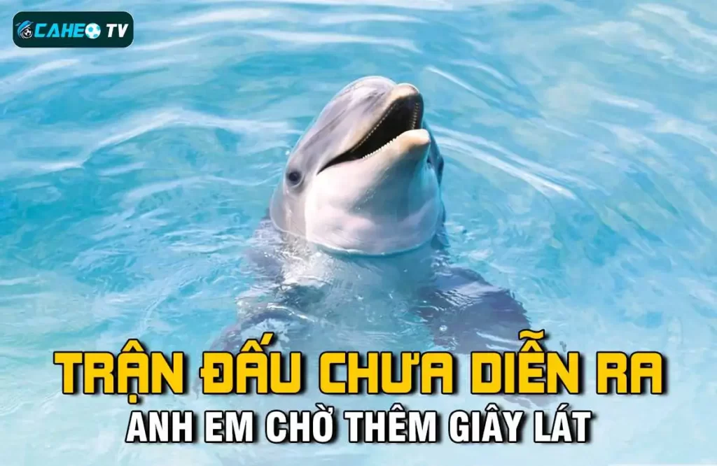 Cách nạp tiền vào tài khoản Nn88 một cách dễ dàng và đầy đủ - Nn88